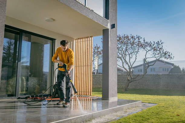 Best Sidewalk and Walkway Cleaning  in Danvle, IL