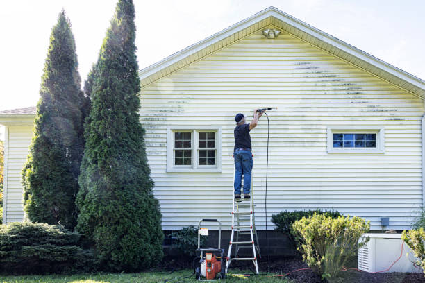 Best Graffiti Removal  in Danvle, IL